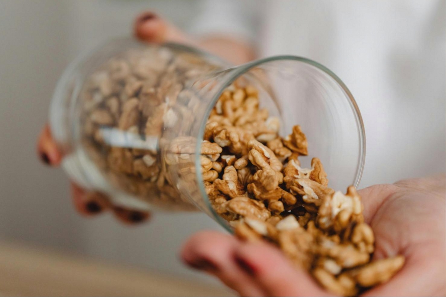 Vegetarische Gerichte aus verschiedenen Kulturen