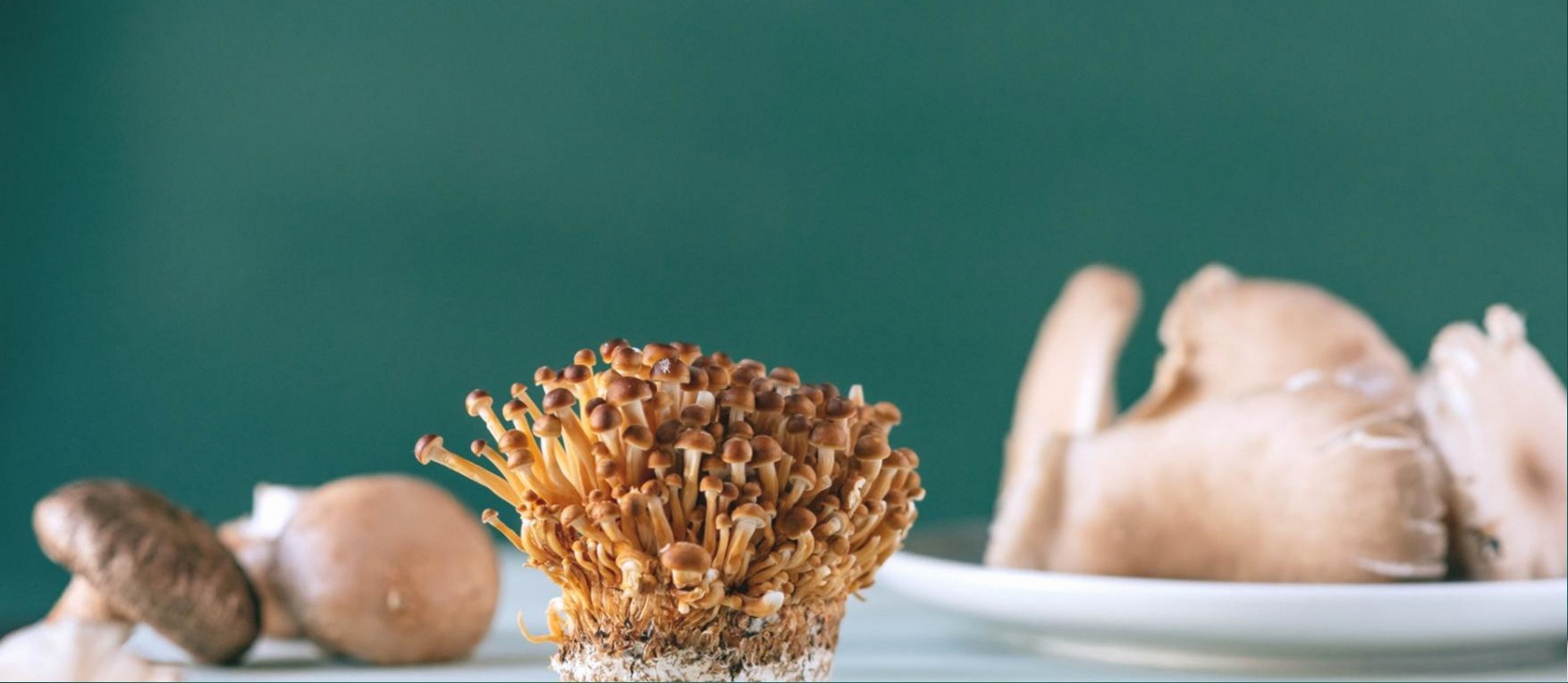Vegetarische Küchenszene mit frischen Zutaten